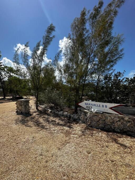 Treehouse Private Village Big Pine Key Eksteriør bilde