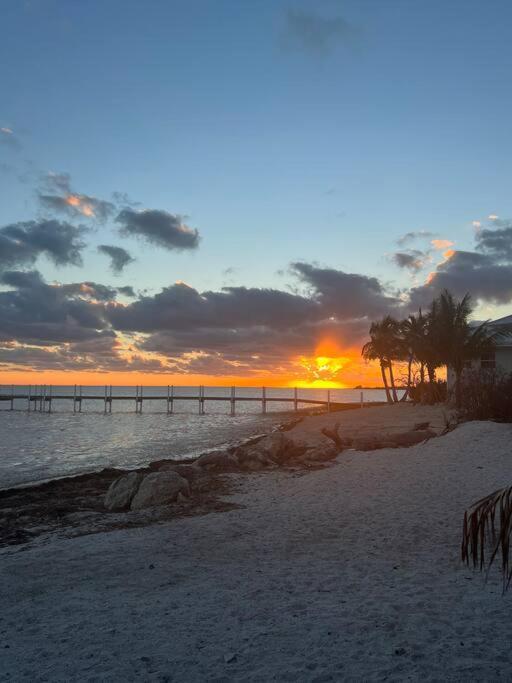 Treehouse Private Village Big Pine Key Eksteriør bilde