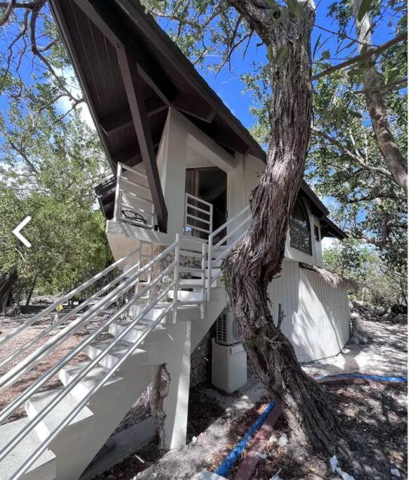 Treehouse Private Village Big Pine Key Eksteriør bilde